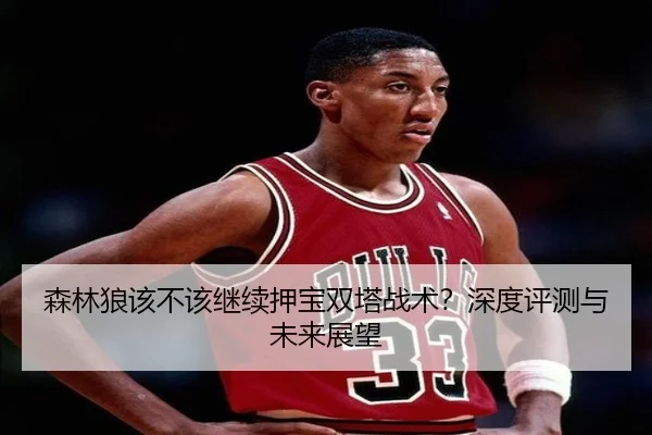森林狼该不该继续押宝双塔战术？深度评测与未来展望